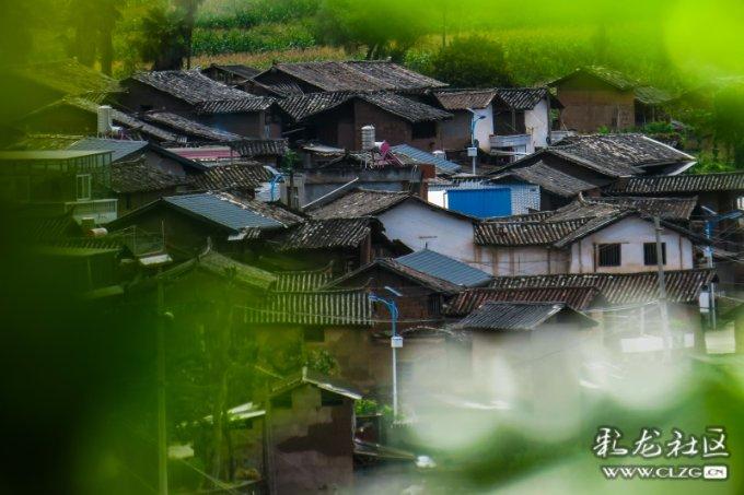 次元喵