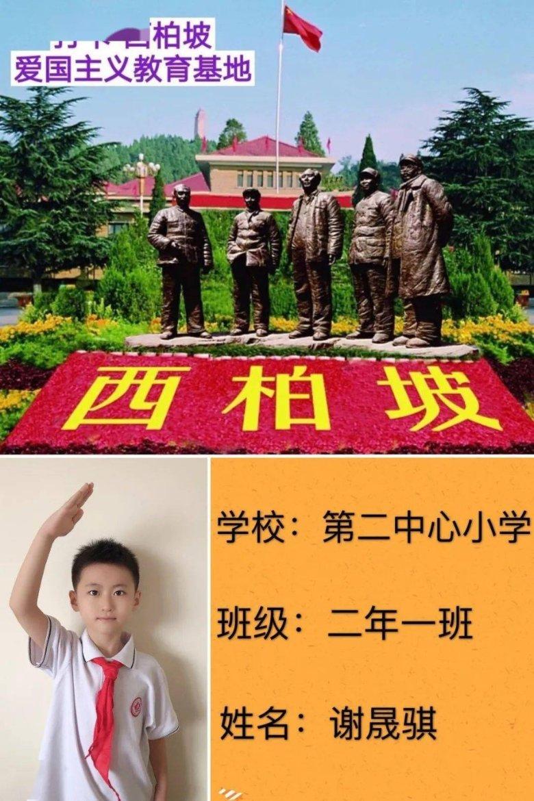 小猫钓鱼游戏龙王版有船