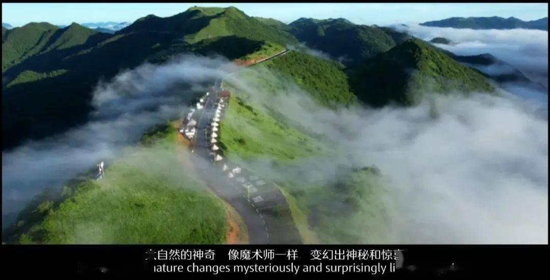 沪江开心词场